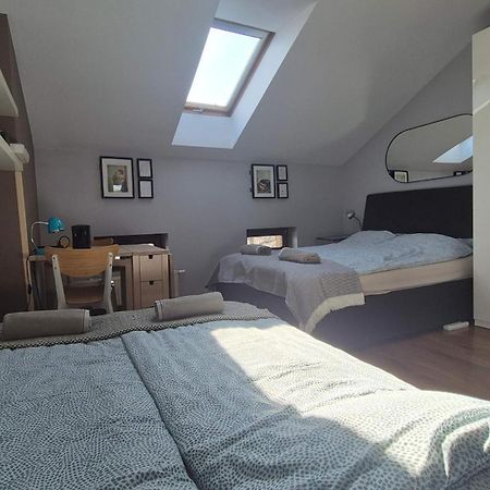 Guesthouse Prusa 7 Oswiecim Ngoại thất bức ảnh